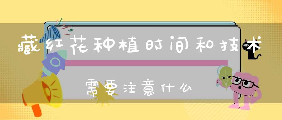 藏红花种植时间和技术需要注意什么