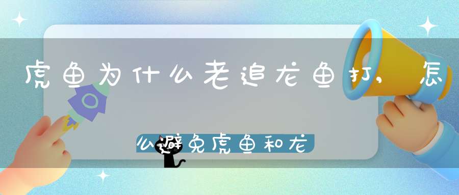 虎鱼为什么老追龙鱼打,怎么避免虎鱼和龙鱼打架