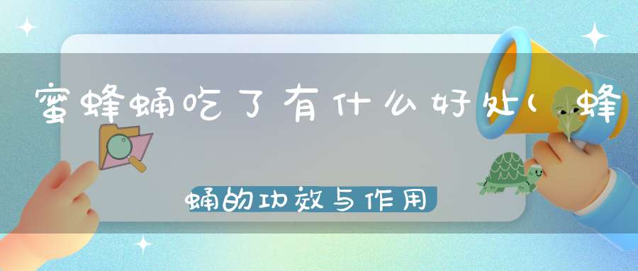 蜜蜂蛹吃了有什么好处(蜂蛹的功效与作用吃法是怎样的)