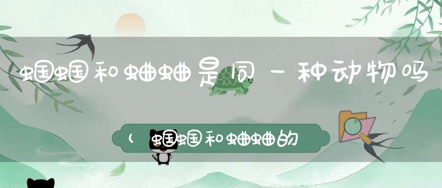 蝈蝈和蛐蛐是同一种动物吗(蝈蝈和蛐蛐的区别是什么)