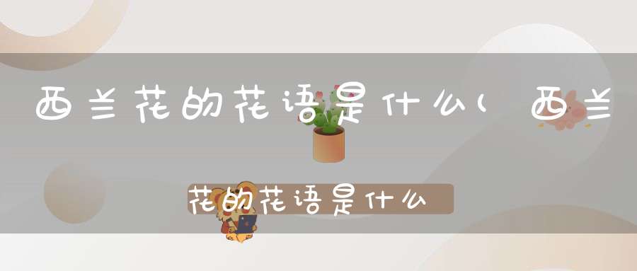 西兰花的花语是什么(西兰花的花语是什么)