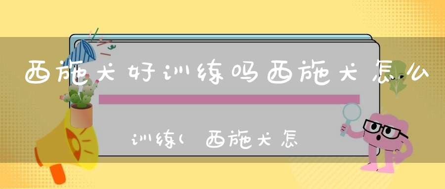 西施犬好训练吗西施犬怎么训练(西施犬怎么训练有什么方法)