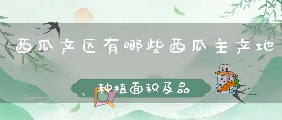 西瓜产区有哪些西瓜主产地、种植面积及品种