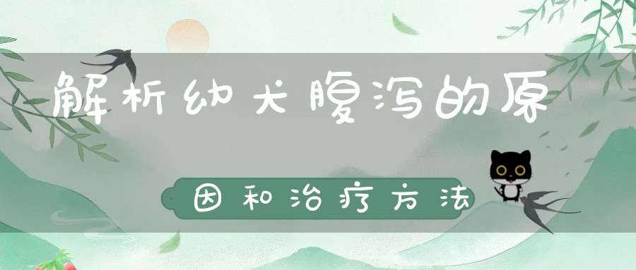 解析幼犬腹泻的原因和治疗方法