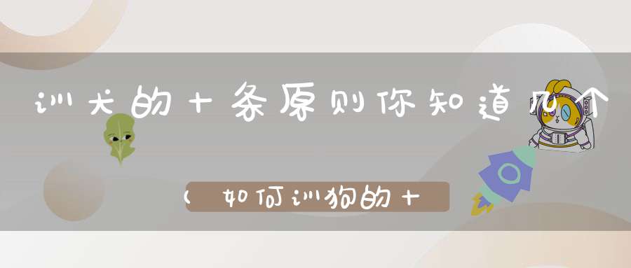 训犬的十条原则你知道几个(如何训狗的十条好方法)