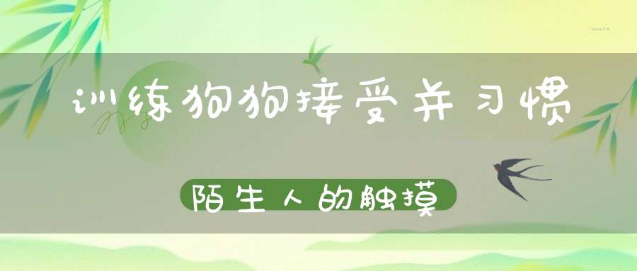 训练狗狗接受并习惯陌生人的触摸