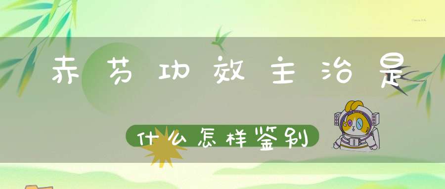 赤芍功效主治是什么怎样鉴别