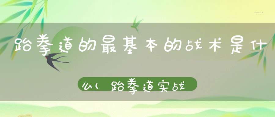 跆拳道的最基本的战术是什么(跆拳道实战中如何运用战术)