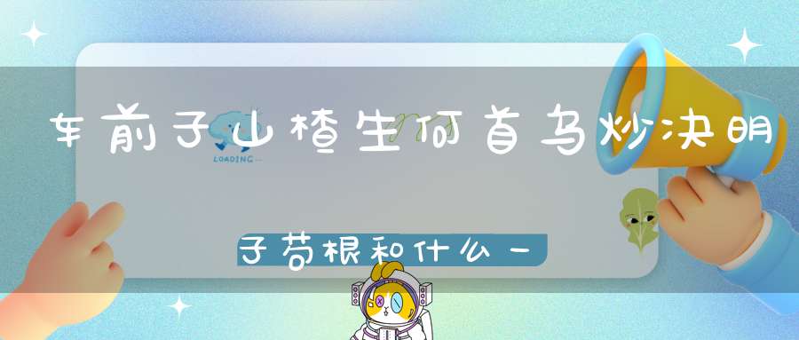 车前子山楂生何首乌炒决明子苟根和什么一起泡水喝减肥