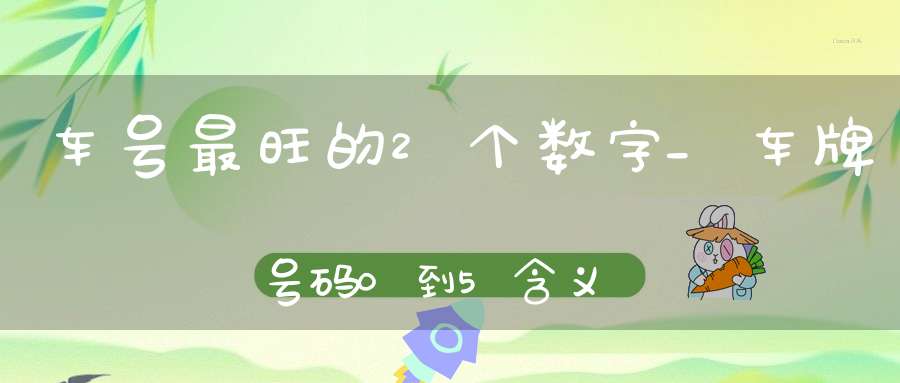 车号最旺的2个数字_车牌号码0到5含义