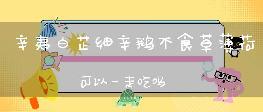 辛夷白芷细辛鹅不食草薄荷可以一走吃吗