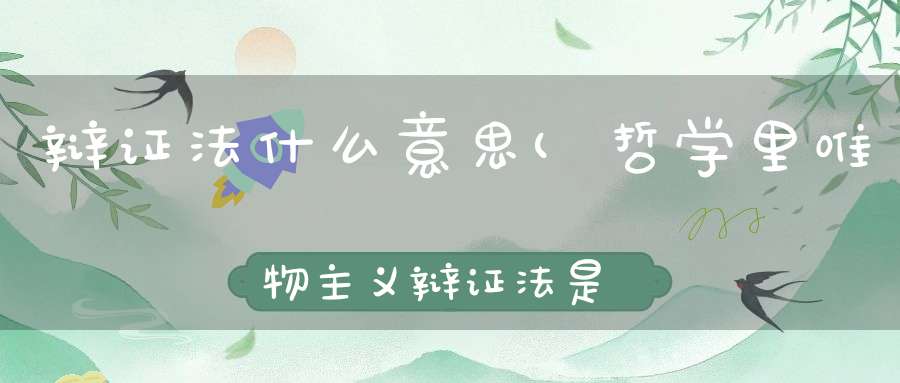 辩证法什么意思(哲学里唯物主义辩证法是什么意思)