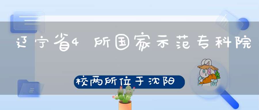 辽宁省4所国家示范专科院校两所位于沈阳实力不输二流本科