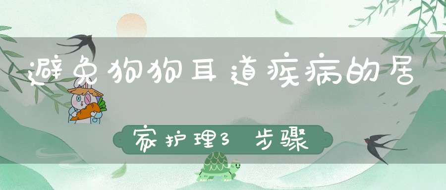 避免狗狗耳道疾病的居家护理3步骤