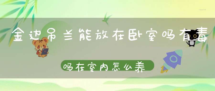 金边吊兰能放在卧室吗有毒吗在室内怎么养