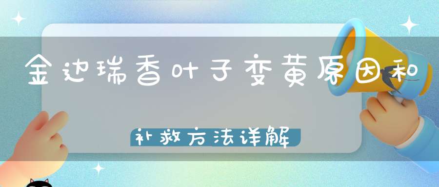 金边瑞香叶子变黄原因和补救方法详解