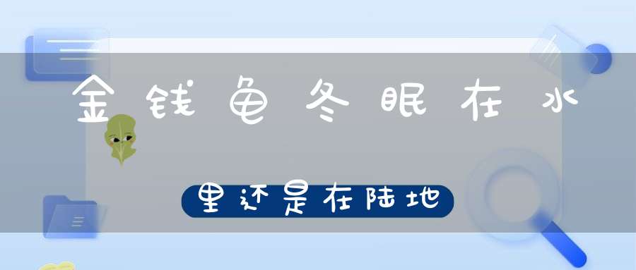 金钱龟冬眠在水里还是在陆地