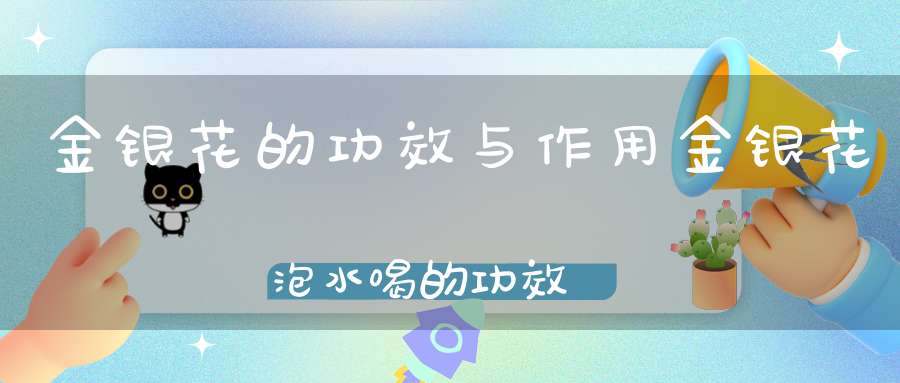 金银花的功效与作用金银花泡水喝的功效