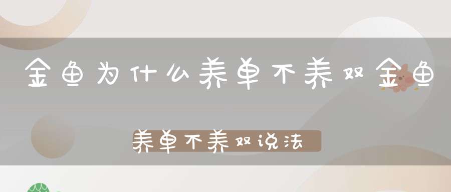 金鱼为什么养单不养双金鱼养单不养双说法