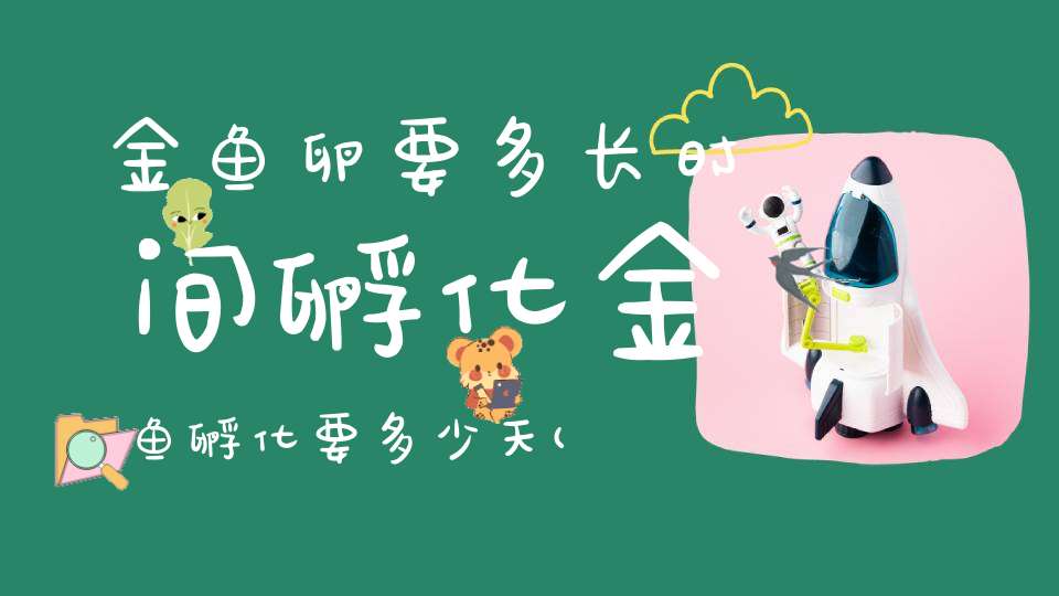 金鱼卵要多长时间孵化金鱼孵化要多少天(金鱼产的卵要多长时间孵化出来)