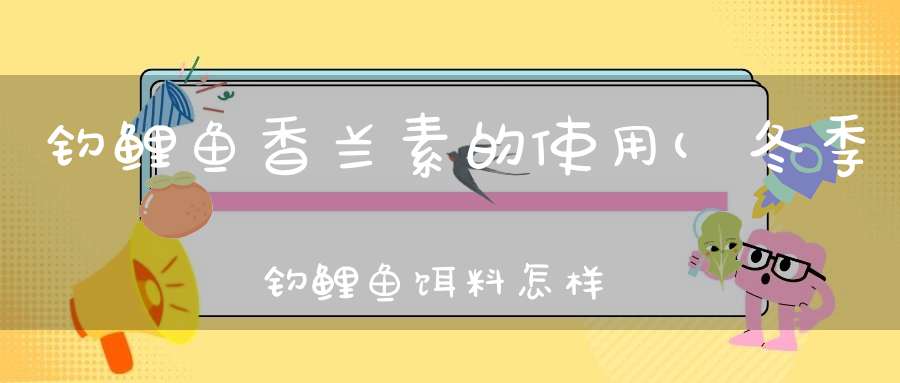 钓鲤鱼香兰素的使用(冬季钓鲤鱼饵料怎样调整)