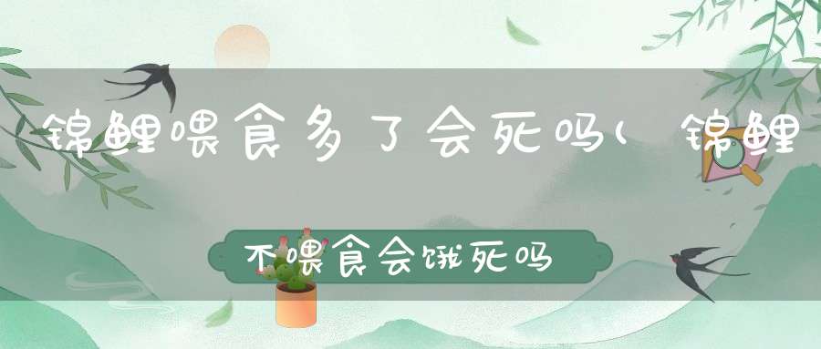 锦鲤喂食多了会死吗(锦鲤不喂食会饿死吗多长时间不喂食会死)