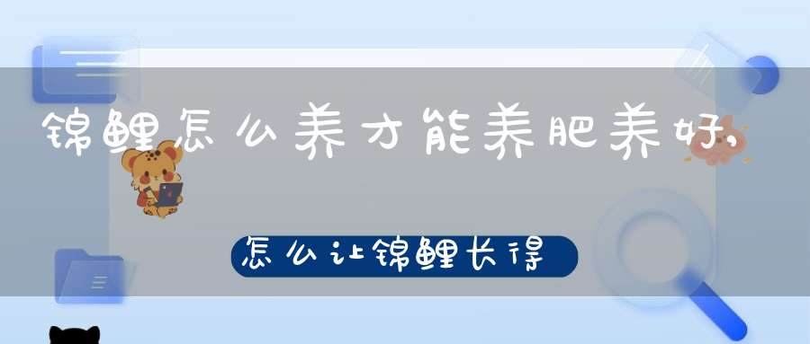 锦鲤怎么养才能养肥养好,怎么让锦鲤长得快(怎样才能把锦鲤养大养好)