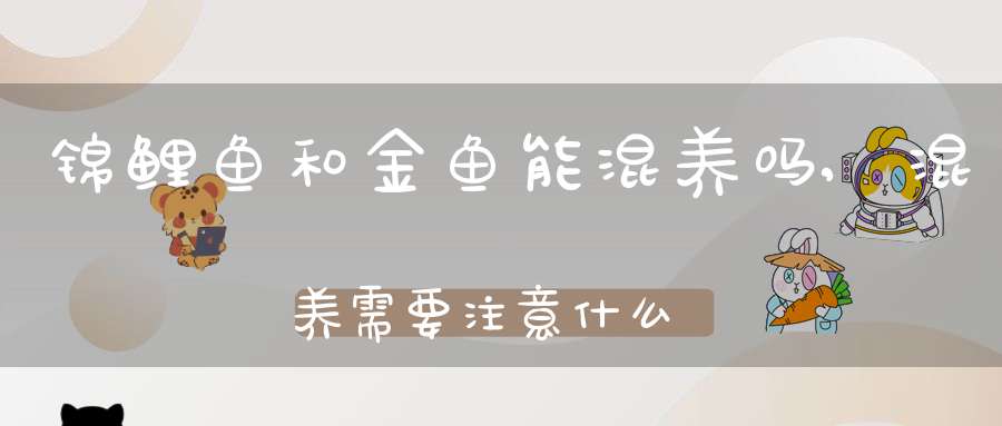 锦鲤鱼和金鱼能混养吗,混养需要注意什么(金鱼和锦鲤可以混养吗)