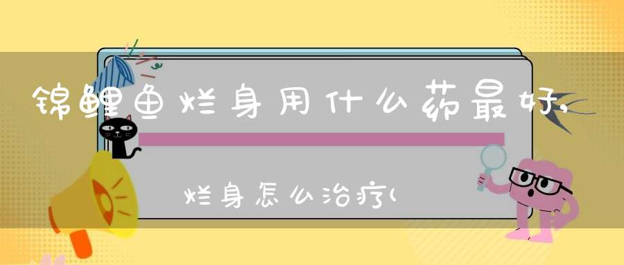 锦鲤鱼烂身用什么药最好,烂身怎么治疗(锦鲤身上溃烂怎么治用什么药)