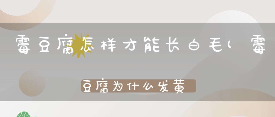 霉豆腐怎样才能长白毛(霉豆腐为什么发黄但不长白毛)