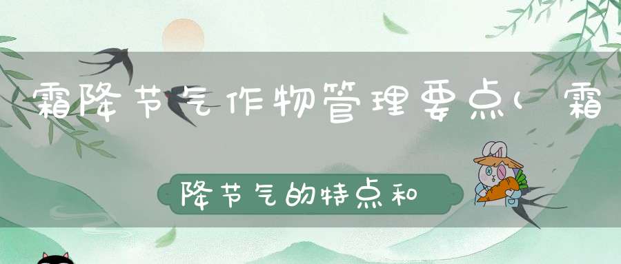 霜降节气作物管理要点(霜降节气的特点和风俗霜降节气需要注意什么)