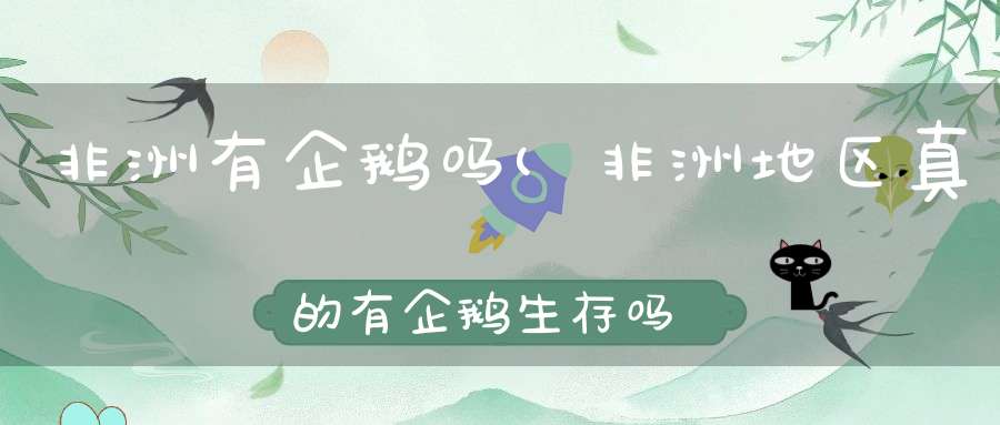 非洲有企鹅吗(非洲地区真的有企鹅生存吗)