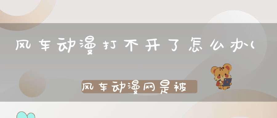 风车动漫打不开了怎么办(风车动漫网是被文化部废了么现在已经进去不了了。)