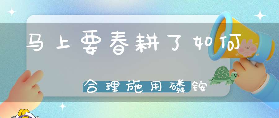 马上要春耕了如何合理施用磷铵