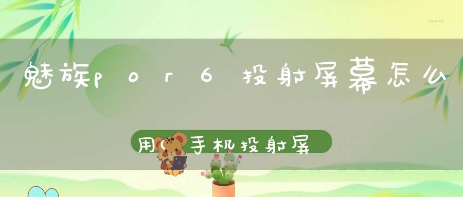 魅族por6投射屏幕怎么用(手机投射屏幕功能怎么用)