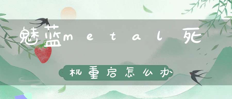 魅蓝metal死机重启怎么办