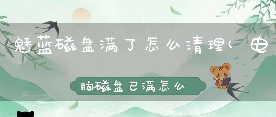 魅蓝磁盘满了怎么清理(电脑磁盘已满怎么清理有啥方法能一次性解决)