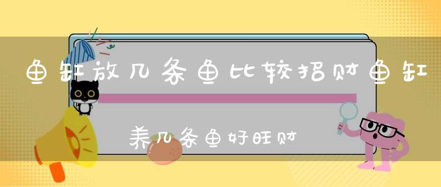 鱼缸放几条鱼比较招财鱼缸养几条鱼好旺财