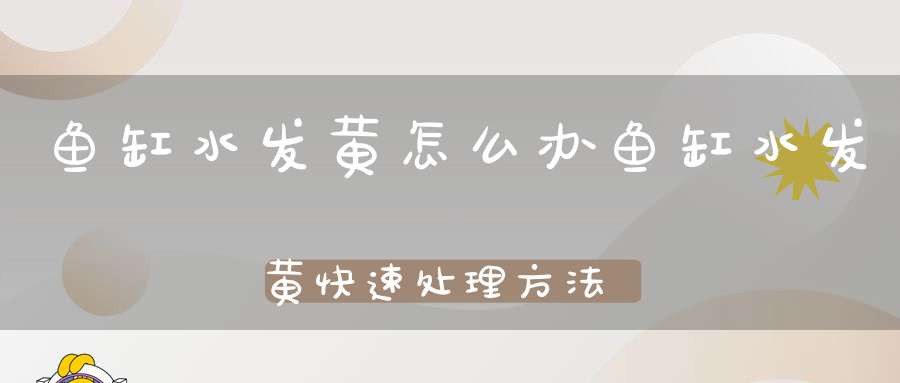 鱼缸水发黄怎么办鱼缸水发黄快速处理方法