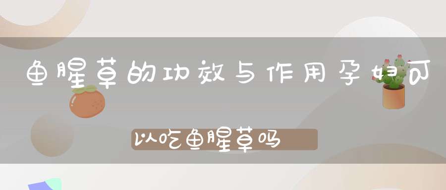 鱼腥草的功效与作用孕妇可以吃鱼腥草吗