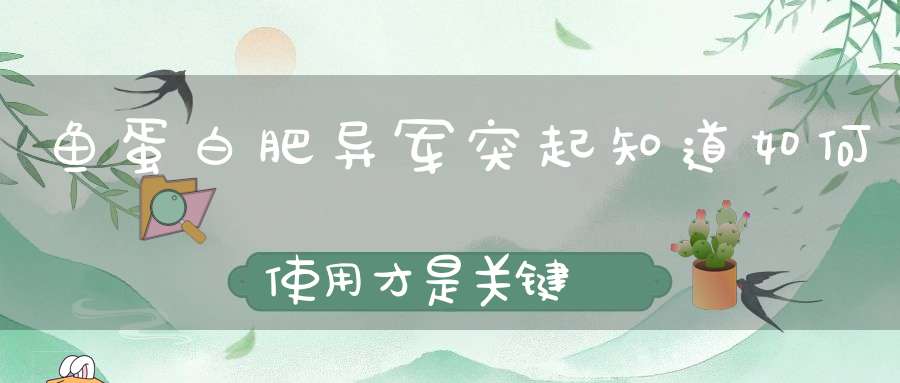 鱼蛋白肥异军突起知道如何使用才是关键