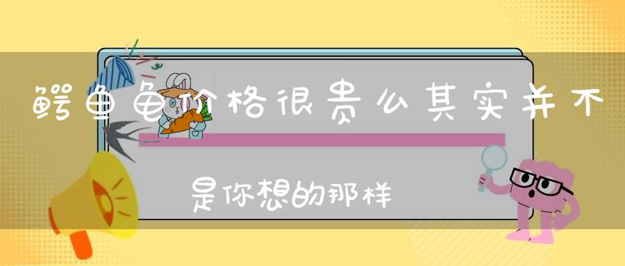 鳄鱼龟价格很贵么其实并不是你想的那样