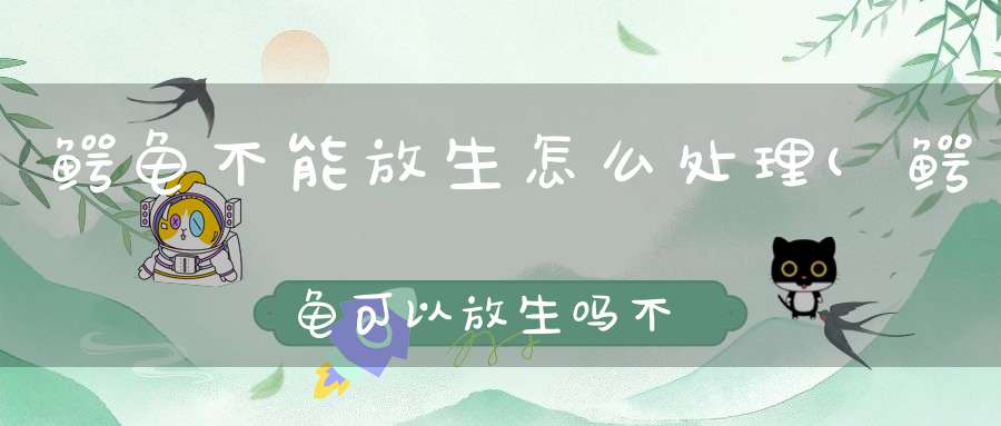 鳄龟不能放生怎么处理(鳄龟可以放生吗不想养了怎么办)