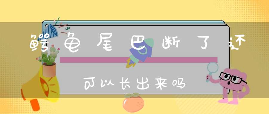 鳄龟尾巴断了还可以长出来吗