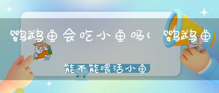 鹦鹉鱼会吃小鱼吗(鹦鹉鱼能不能喂活小鱼它能不能吃到它)