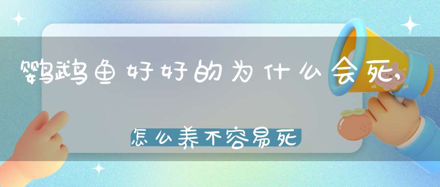 鹦鹉鱼好好的为什么会死,怎么养不容易死