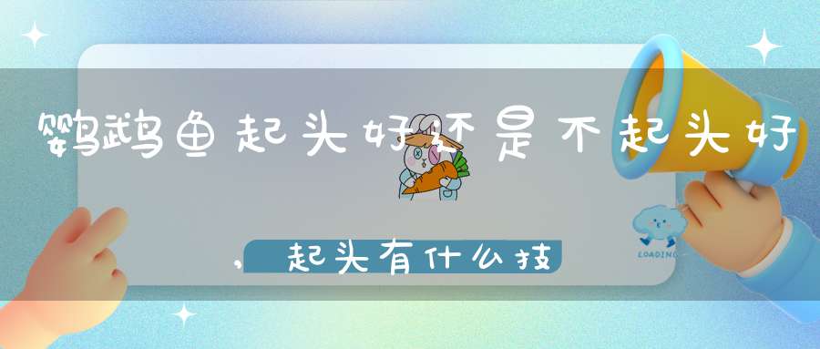 鹦鹉鱼起头好还是不起头好,起头有什么技巧(鹦鹉鱼怎么才会起头)