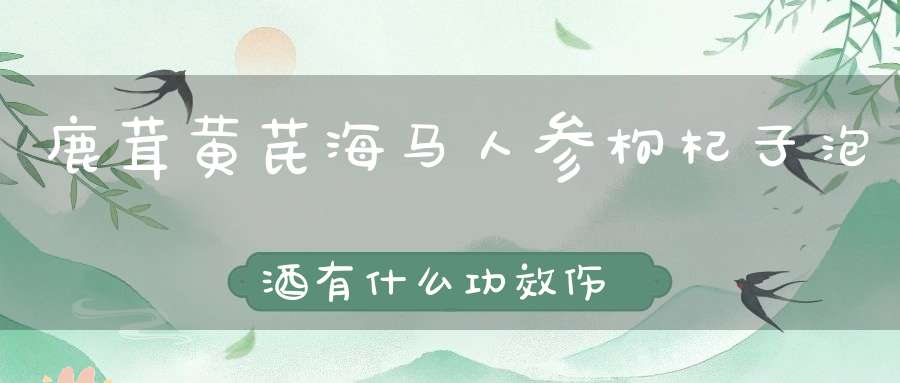 鹿茸黄芪海马人参枸杞子泡酒有什么功效伤身体吗