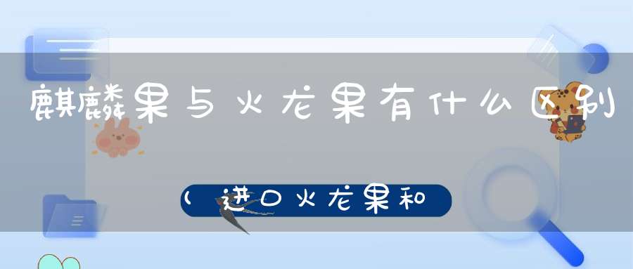 麒麟果与火龙果有什么区别(进口火龙果和国产火龙果的区别是什么)