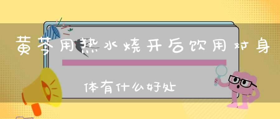 黄芩用热水烧开后饮用对身体有什么好处